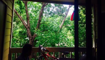 10387133_627134257478_7226004278071184439_o