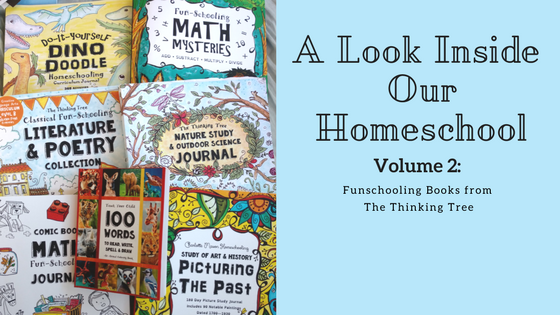 A Look Inside Our Homeschool- Funschooling with The Thinking Tree