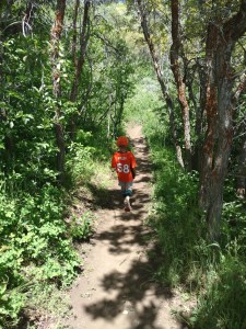 Hiking through the forest in Utah at the Olympic center