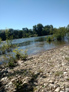 Boise greenway river